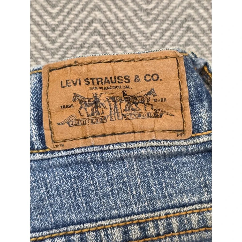 Levis levi strauss